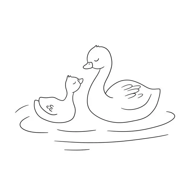 Vector illustration of Cute baby and mama Swan. Black and white cartoon illustration for childish coloring book. Duck family