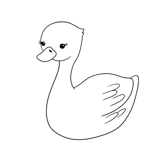 Vector illustration of Cute baby Swan. Black and white cartoon illustration for childish coloring book