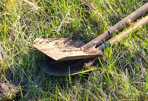 The shovel lies on the green grass.