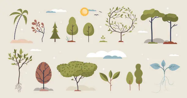 Vector illustration of Trees set with various growing plants and elements tiny person collection