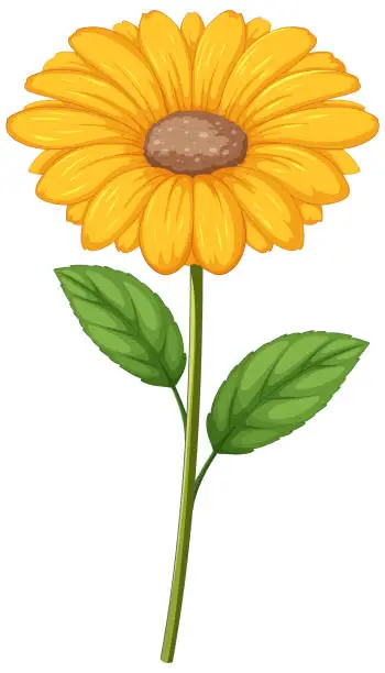 Vector illustration of Vector illustration of a vibrant yellow flower.