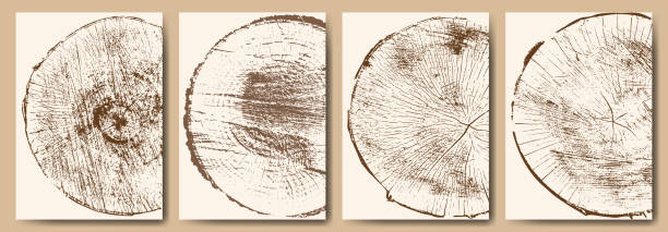 коллекция поперечного сечения ствола дерева. - wood lumber industry tree ring wood grain stock illustrations