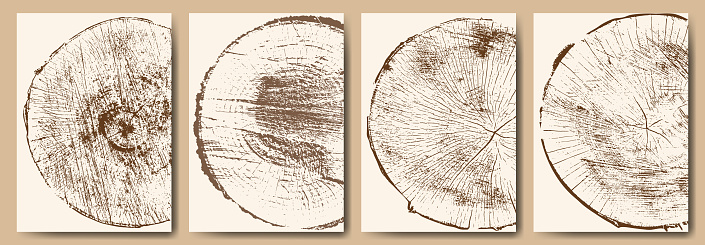 A set of four backgrounds. Cross-section of wood background. Natural cut wood. Wood texture, ring pattern. Round wooden design elements. Vector illustration.