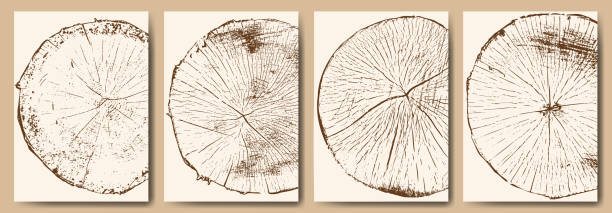 сбор годичных колец деревьев. четыре плаката. - wood lumber industry tree ring wood grain stock illustrations