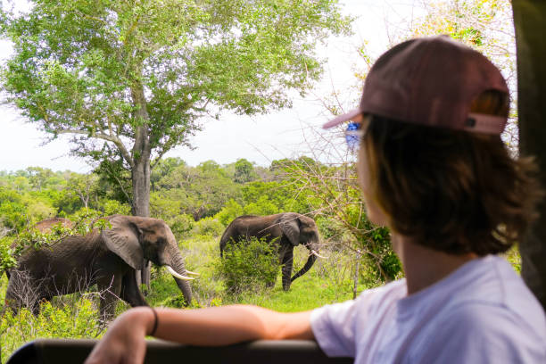 istock Anonymous boy in cap and sunglasses in safari 2075084007