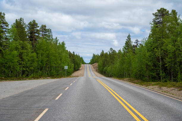 istock Asphalt road in coniferous forest 2075099474