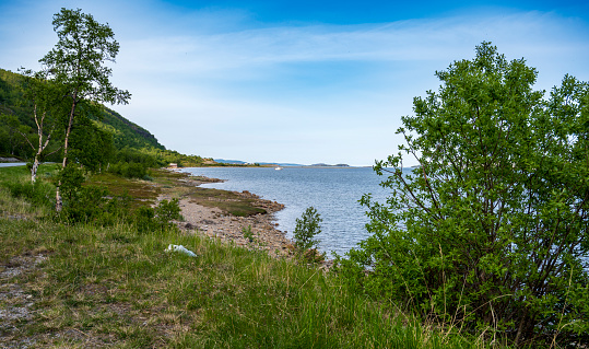 Stone sea beach with bushes and trees on the coast
