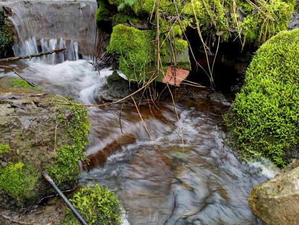 istock A small mountain stream flowing down the mountain along large stone rapids covered with green moss, forming a cascading waterfall. 2075156480