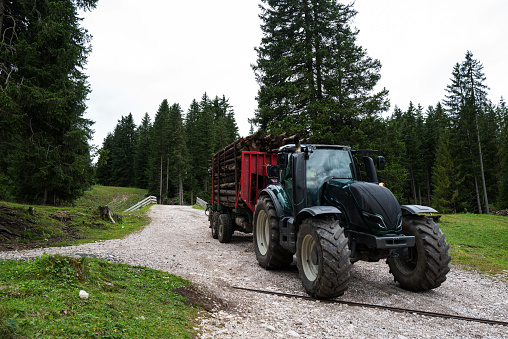 Lumberjack industry on the Dolomites