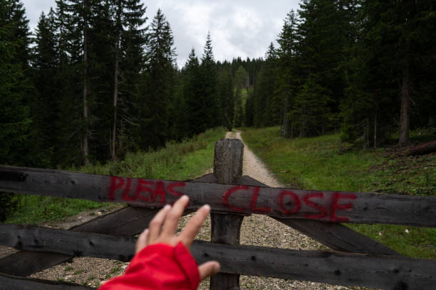 Hiking in a forest trail on the Dolomites during a bad weather day: outdoor adventures