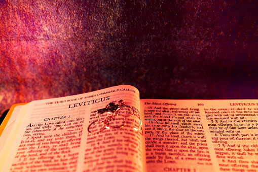 Lens flare effect with Open Holybile Book The third book of MOSES Commonly called Leviticus for background and inspiration