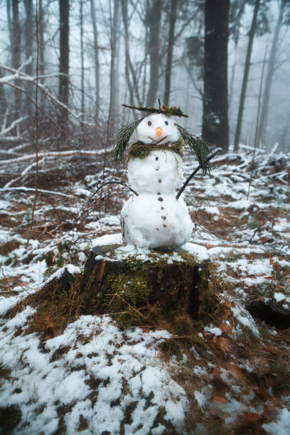 istock Snowman on a tree stump with carrot, buttons, branches, pine needles as hair 2075223615