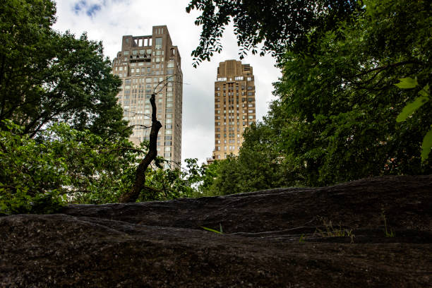 The skyscraper of New York City (USA), seen from Central Park, a public urban park located in the metropolitan district of Manhattan, in the Big Apple of the United States of America.