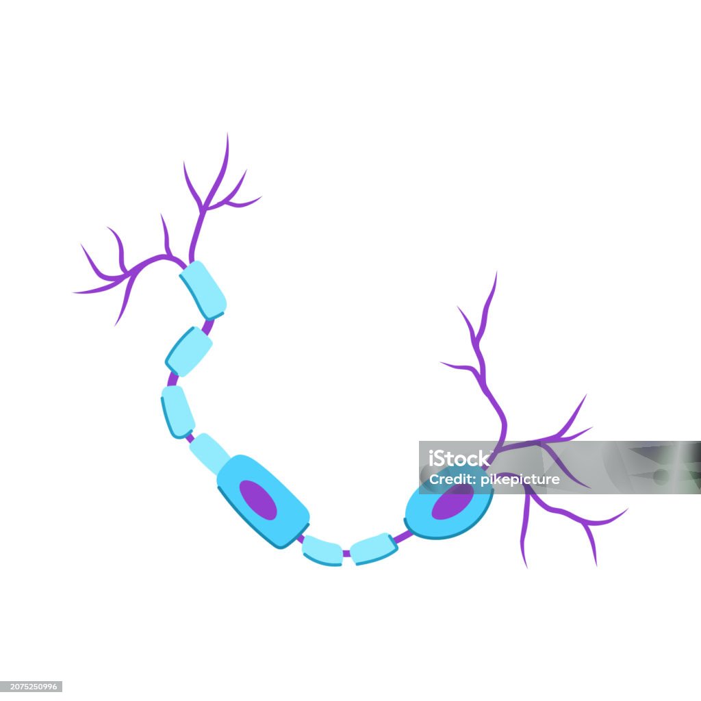 Neuron Body Cartoon Neuro Neurons Cartoon Vector Illustration Stock Illustration - Download ...