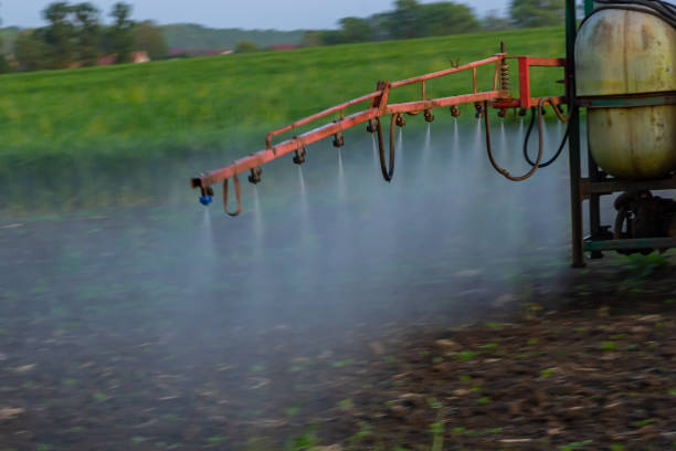 Tractor spraying pesticides on vegetable field with sprayer at spring.