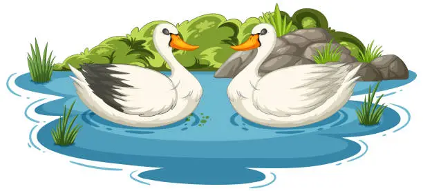 Vector illustration of Two swans floating gracefully on tranquil water.