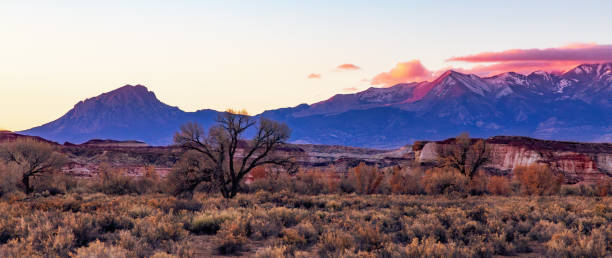 Desert Landscape with bush, trees, and mountains. Sunrise Sky. U