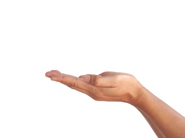 istock The man's hands open and stretched forward with two hands. On a white background business concept. 2075288641