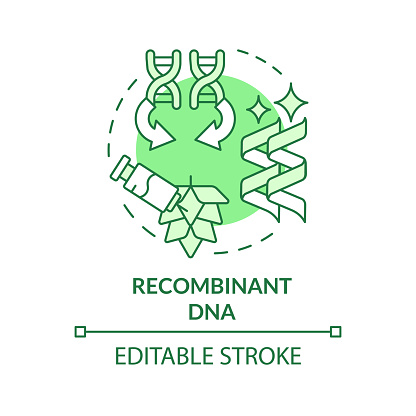 Recombinant DNA green concept icon. Genome sequencing, rna interference. Crop improvement. Round shape line illustration. Abstract idea. Graphic design. Easy to use in article, blog post