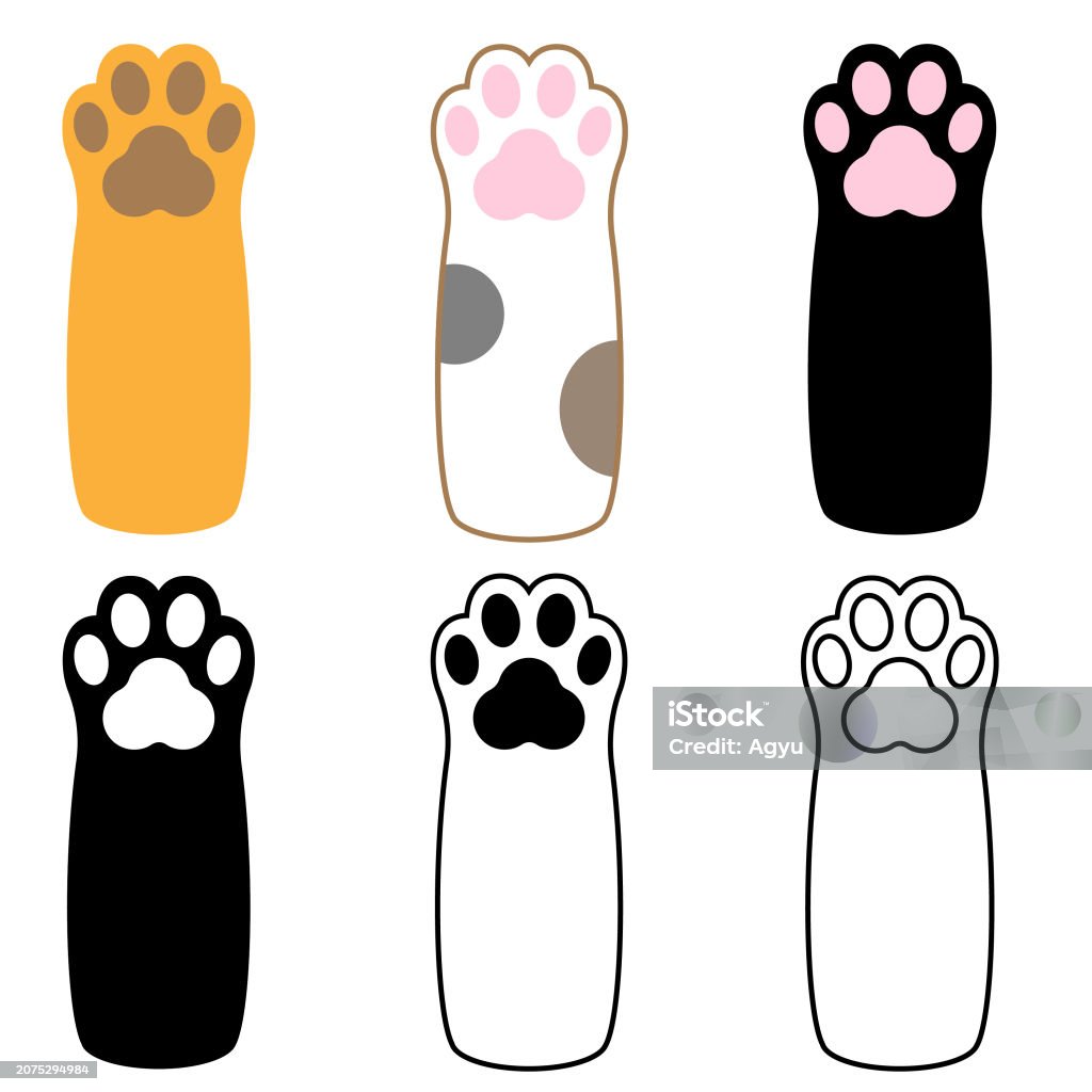 Cat Tread Pattern 6 Patterns Of Cats Paws Stock Illustration - Download Image Now ...