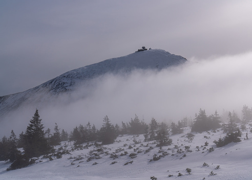 Foggy morning under Sniezka mountain in Karkonosze during winter in Poland