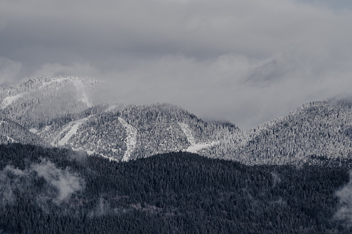 A serene and majestic portrait of snow-capped mountains shrouded in mist. The grayscale palette highlights the texture and depth of the forested slopes, while the intermittent clouds add a sense of mystery and grandeur to the landscape. This image captures the stillness and the breathtaking beauty of nature in its quiet, wintry embrace.