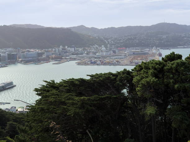 istock Wellington from Mount Victoria 2075343424