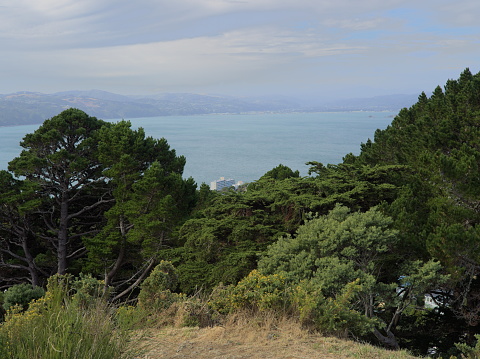 Petone, Lower Hutt from Mount Victoria