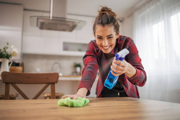istock The woman keeps the apartment clean. 2075348817