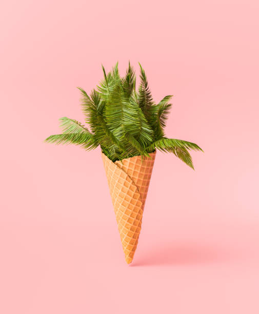 istock Tropical Palm Leaves in Ice Cream Cone on Pink Background 2075349863