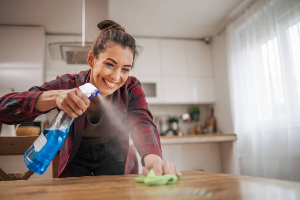 istock The woman keeps the apartment clean. 2075349877