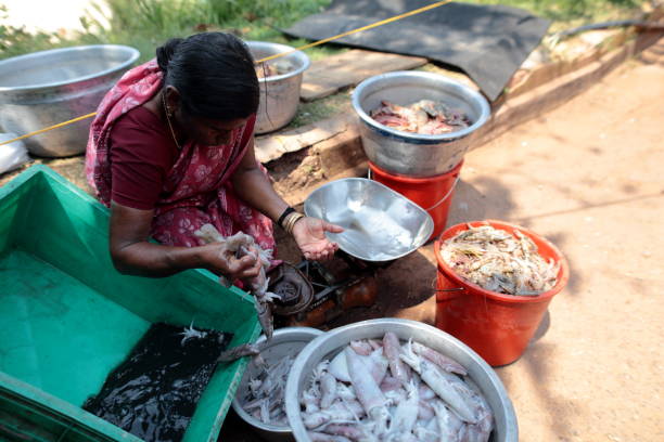 Varkala, Kerala, India - February 23, 2024: Indian woman sorting seafood