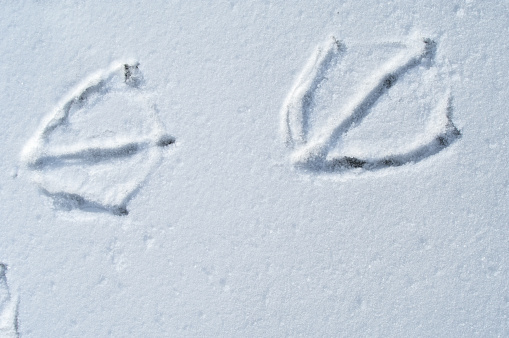 The footprints are clearly visible down to the water paddle.