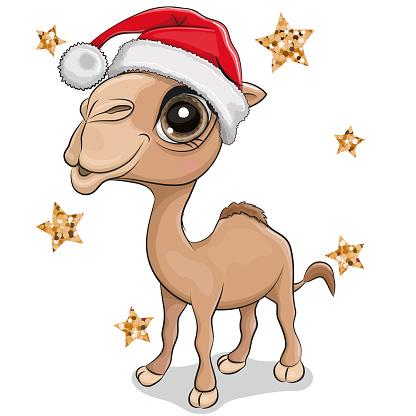 Cute cartoon camel in Santa hat isolated on white background