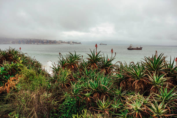 view on the coast of Valparaiso-Chile under grey sky