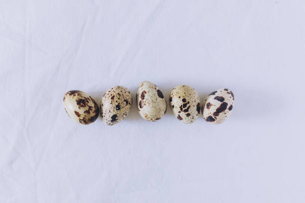 istock Quail eggs on a white background. Minimal concept. Flat lay. 2075379303