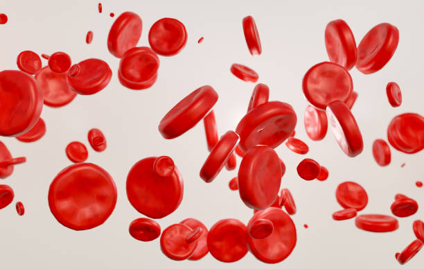 istock Red blood cells flowing through the vein. 2075388088