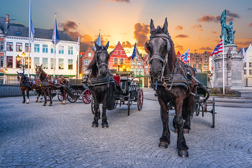 Touristic horse-drawn carriage with black horses standing on Market Square in City center of Bruges at sunset, Belgium. No people.