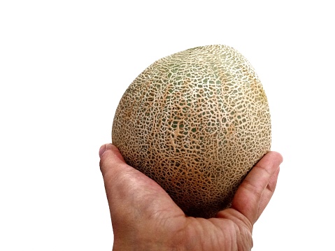 Melon fruit on white background