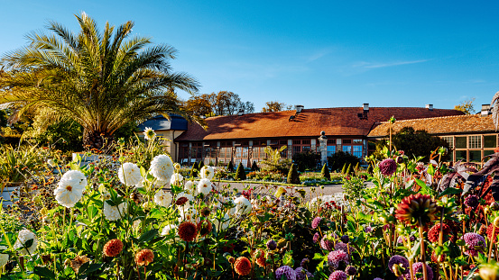 Flowers in the garden park of Belvedere in Weimar, Germany\nA beautiful country house with a vibrant flower garden in full bloom under a clear blue sky, depicting rural tranquility.