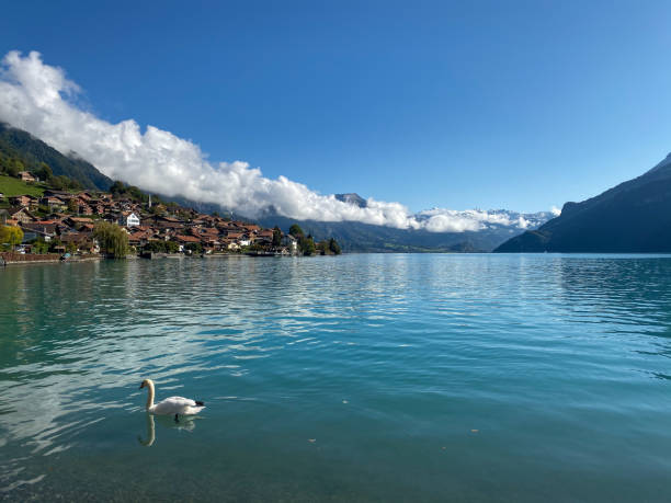 istock Serene Beauty of Lake Brienz 2075453447