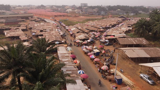 istock BUSH MARKET IN AFRICA 2075453856