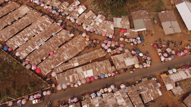 istock BUSH MARKET IN AFRICA 2075453899