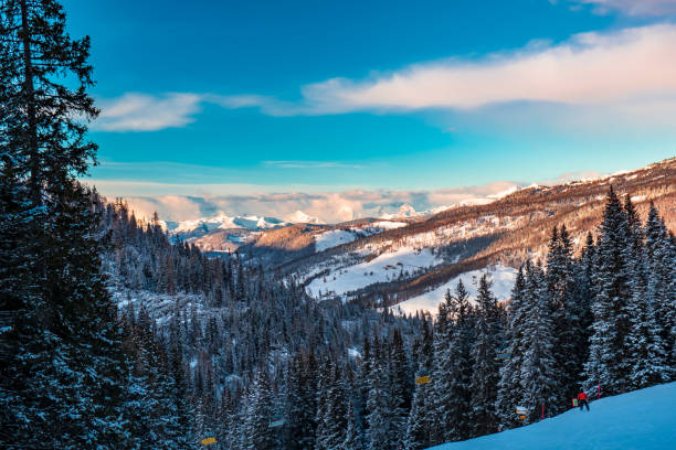 A view of a winter landscape with snow-capped mountains and pine trees on a sunny day
