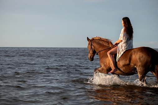 A woman on a brown horse in water