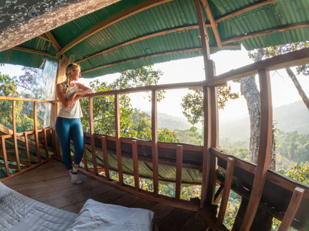 istock Young woman contemplates the jungle from a tree house 2075554757