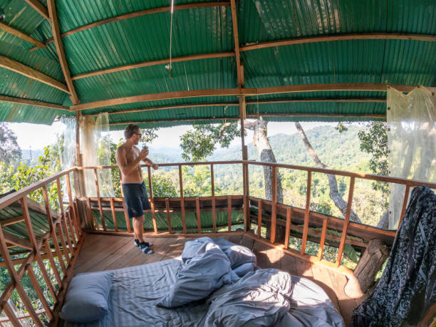 istock One man enjoying nature from a tree house in the morning 2075555840