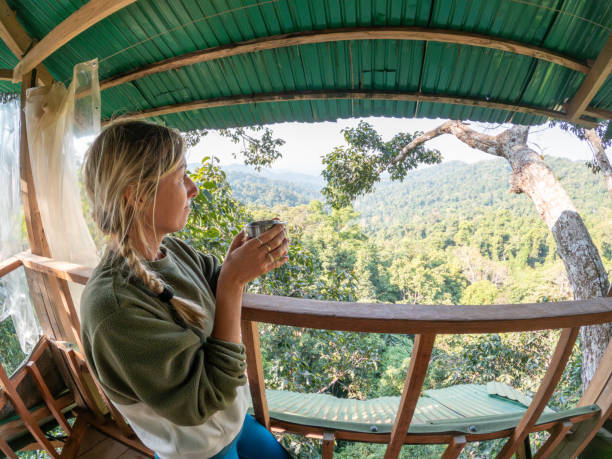 istock Young woman contemplates the jungle from a tree house 2075555872
