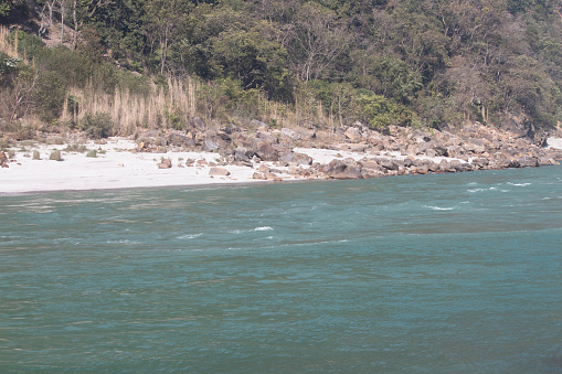 Ganges serenity, White sands, ancient rocks, and a forest embrace along the sacred river's enchanting journey