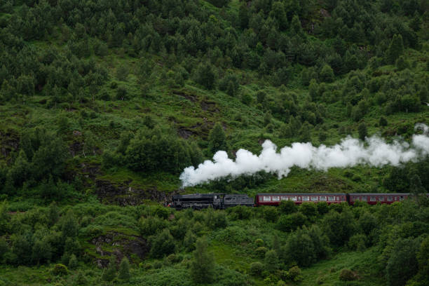 istock Black locomotive blows smoke and pulls red wagons through the Scottish Highlands 2075587947